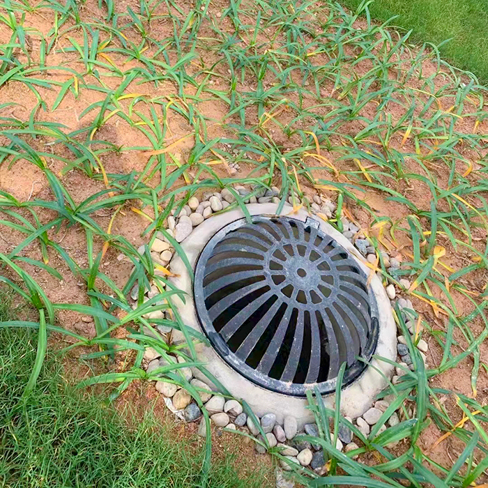 海綿城市雨水收集